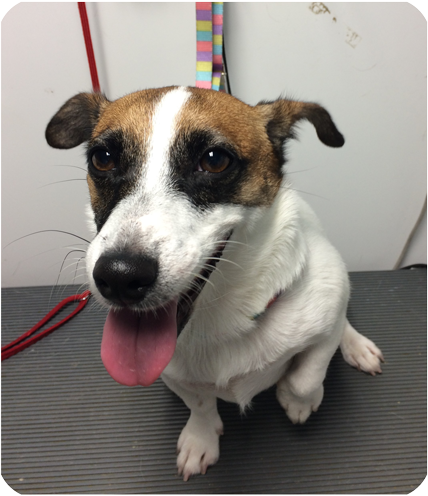 カウンセリング